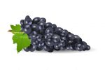 Bunch of Purple Grapes with Green Leaf